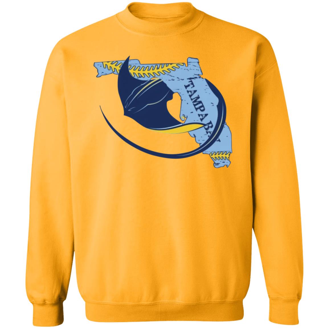 Tampa Bay Baseball Shirt Hoodie Sweatshirt - Teechipus