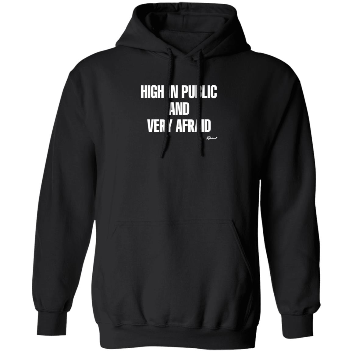 Reductress Shop High In Public And Very Afraid Hoodie Shirt Sweatshirt - Teechipus