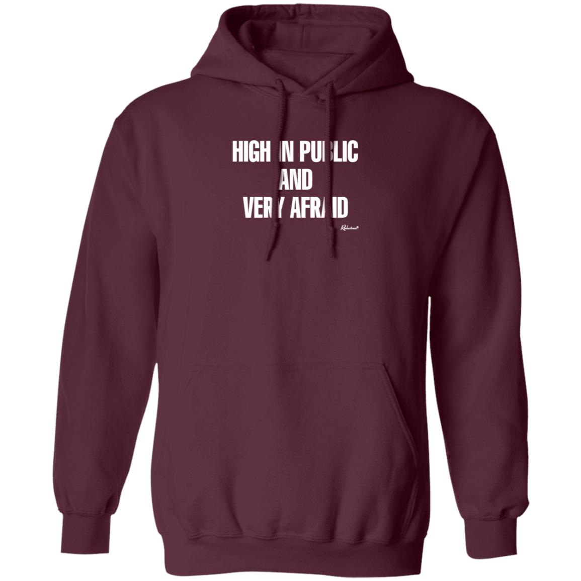 Reductress Shop High In Public And Very Afraid Hoodie Shirt Sweatshirt - Teechipus