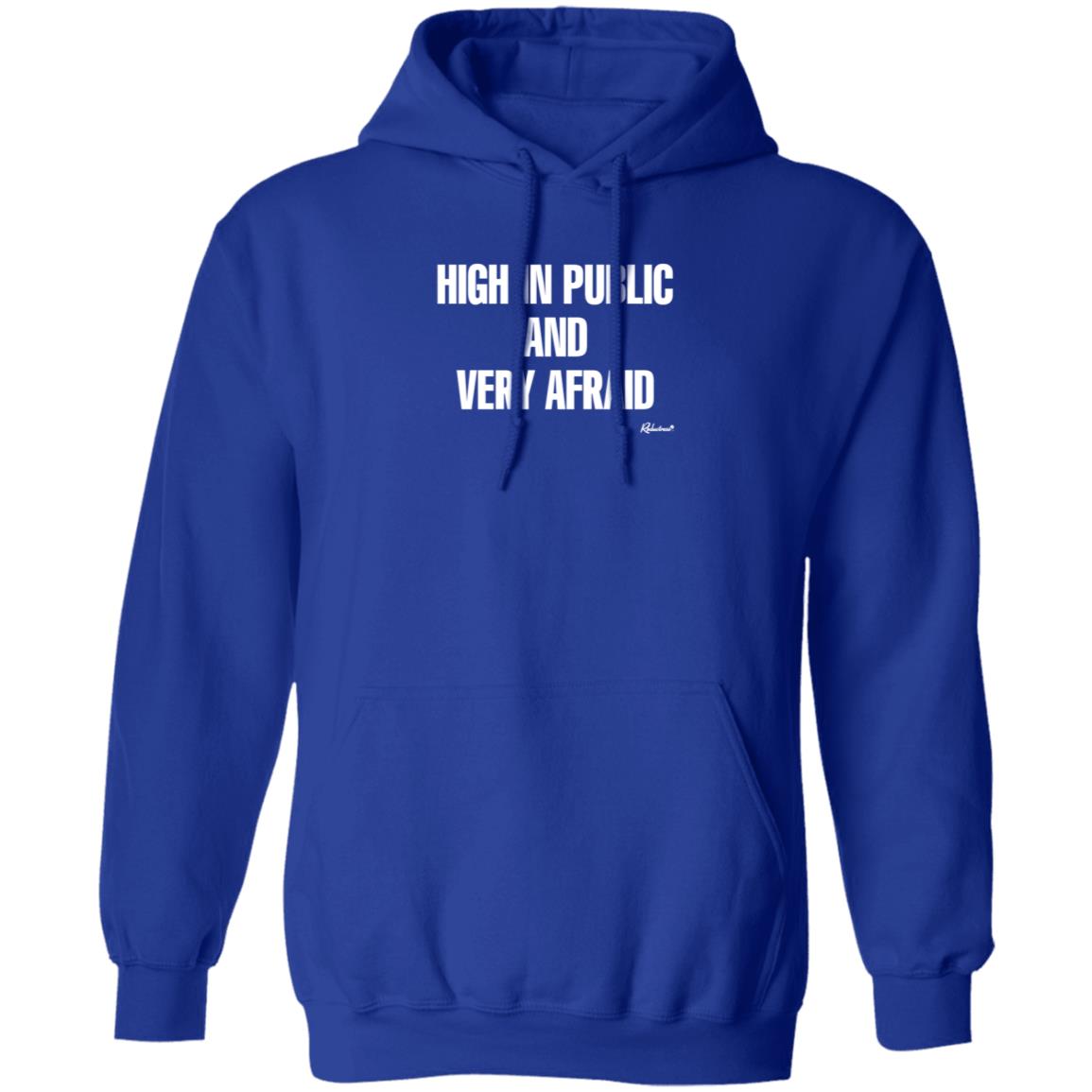 Reductress Shop High In Public And Very Afraid Hoodie Shirt Sweatshirt - Teechipus