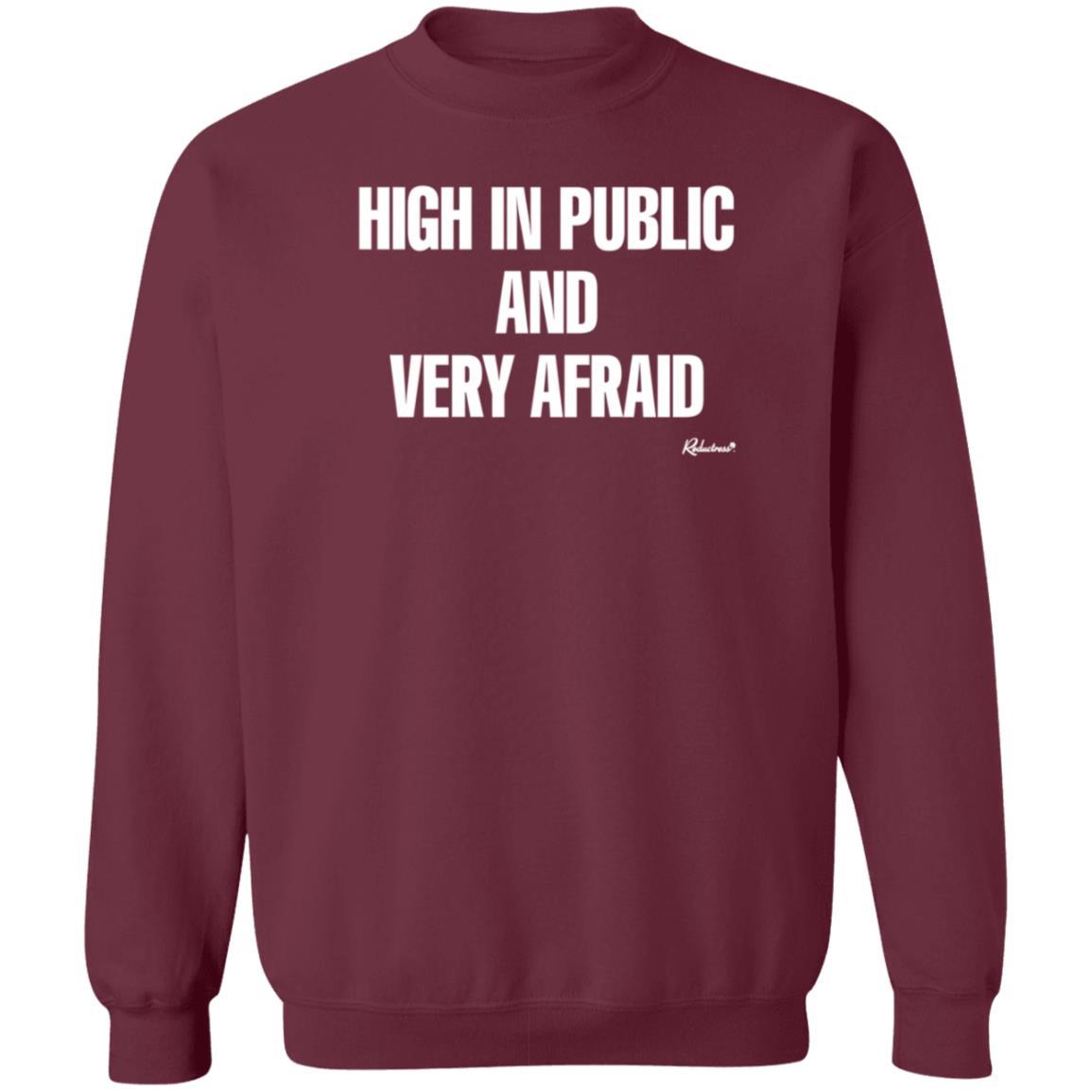 Reductress Shop High In Public And Very Afraid Hoodie Shirt Sweatshirt - Teechipus