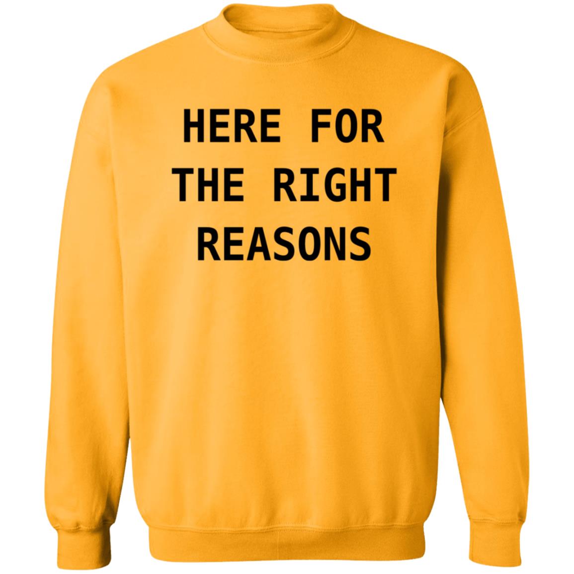Here For The Right Reasons Shirt Patti Murin Here For The Right Reasons Shirt Hoodie Sweatshirt - Teechipus