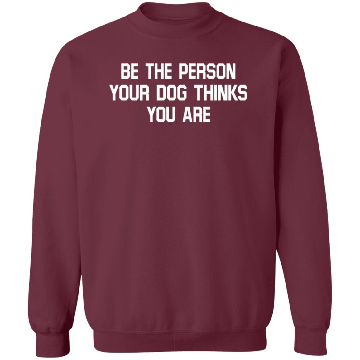 Be The Person Your Dog Thinks You Are Shirt Hoodie Sweatshirt - Teechipus