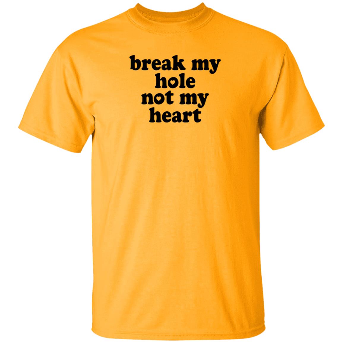 Break My Hole Not My Heart Shirt Hoodie Sweatshirt - Teechipus