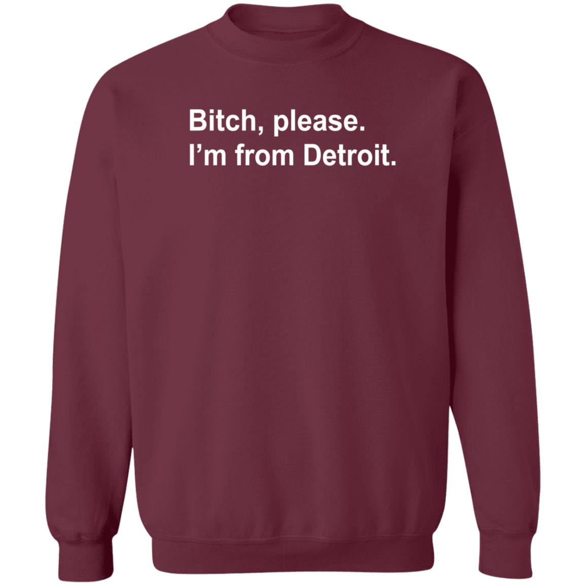 Bitch Please I'm From Detroit Shirt Hoodie Sweatshirt - Teechipus