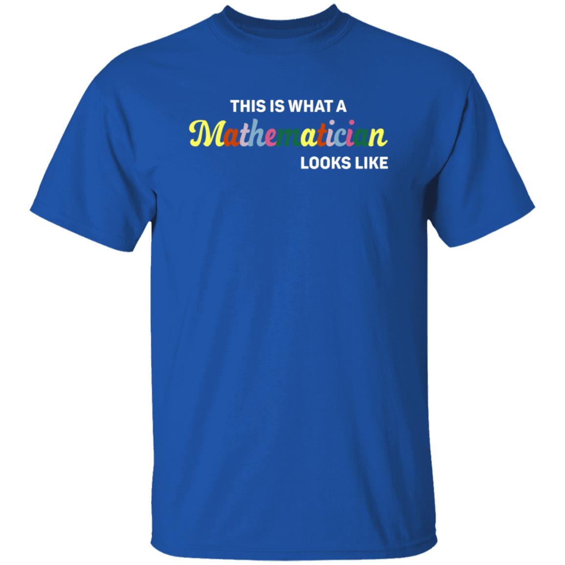 This Is What A Mathematician Looks Like Shirt - Teechipus