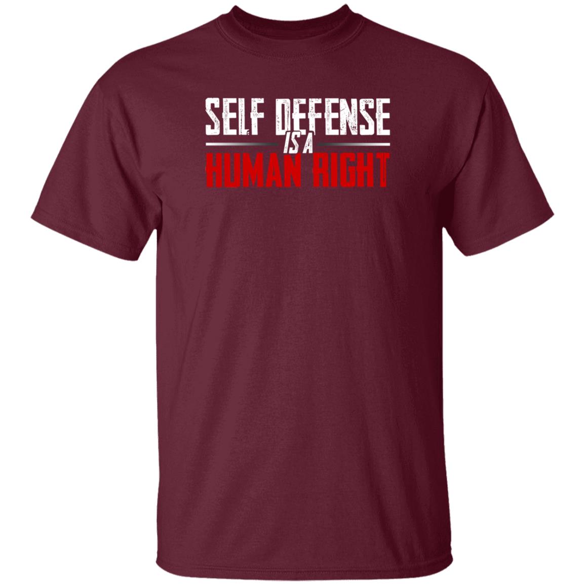 Self Defense Is A Human Right Shirt Hodgetwins Store Self Defense Shirt - Teechipus