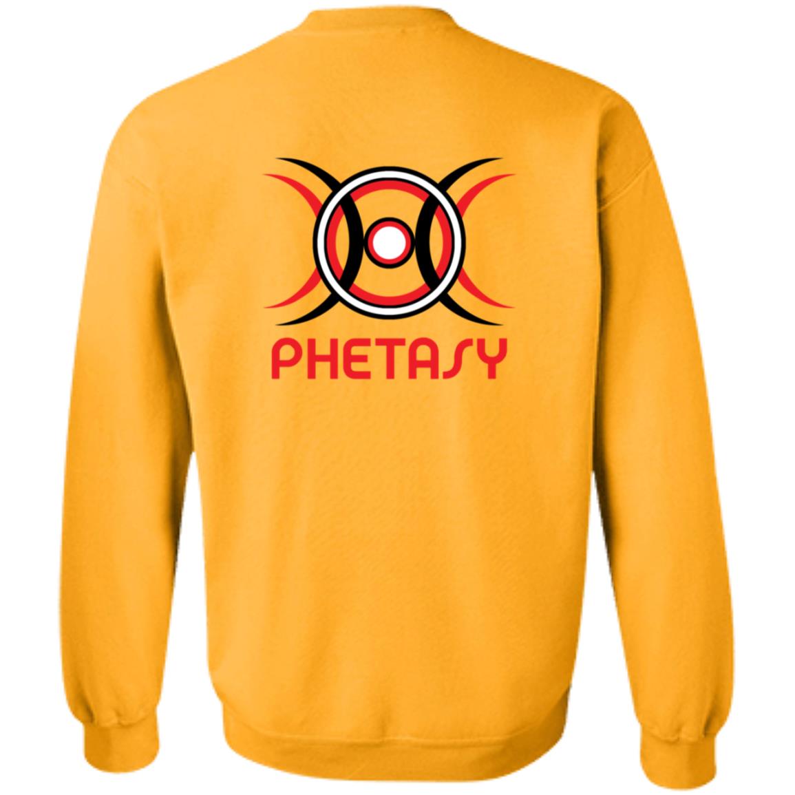 Phetasy Champion Hoodie Phetasy Merch - Teechipus