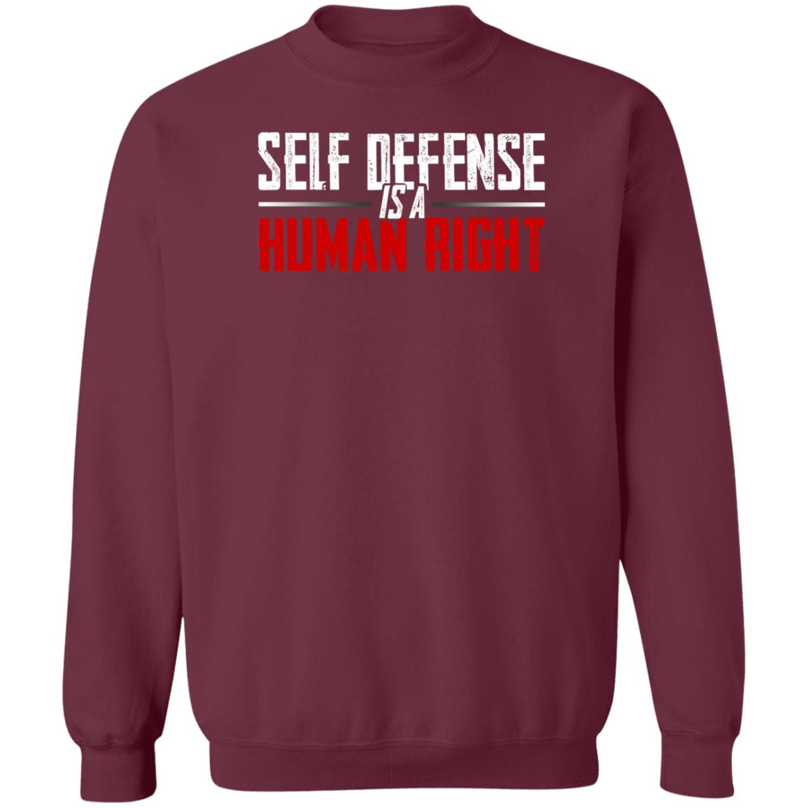 Self Defense Is A Human Right Shirt Hodgetwins Store Self Defense Shirt - Teechipus