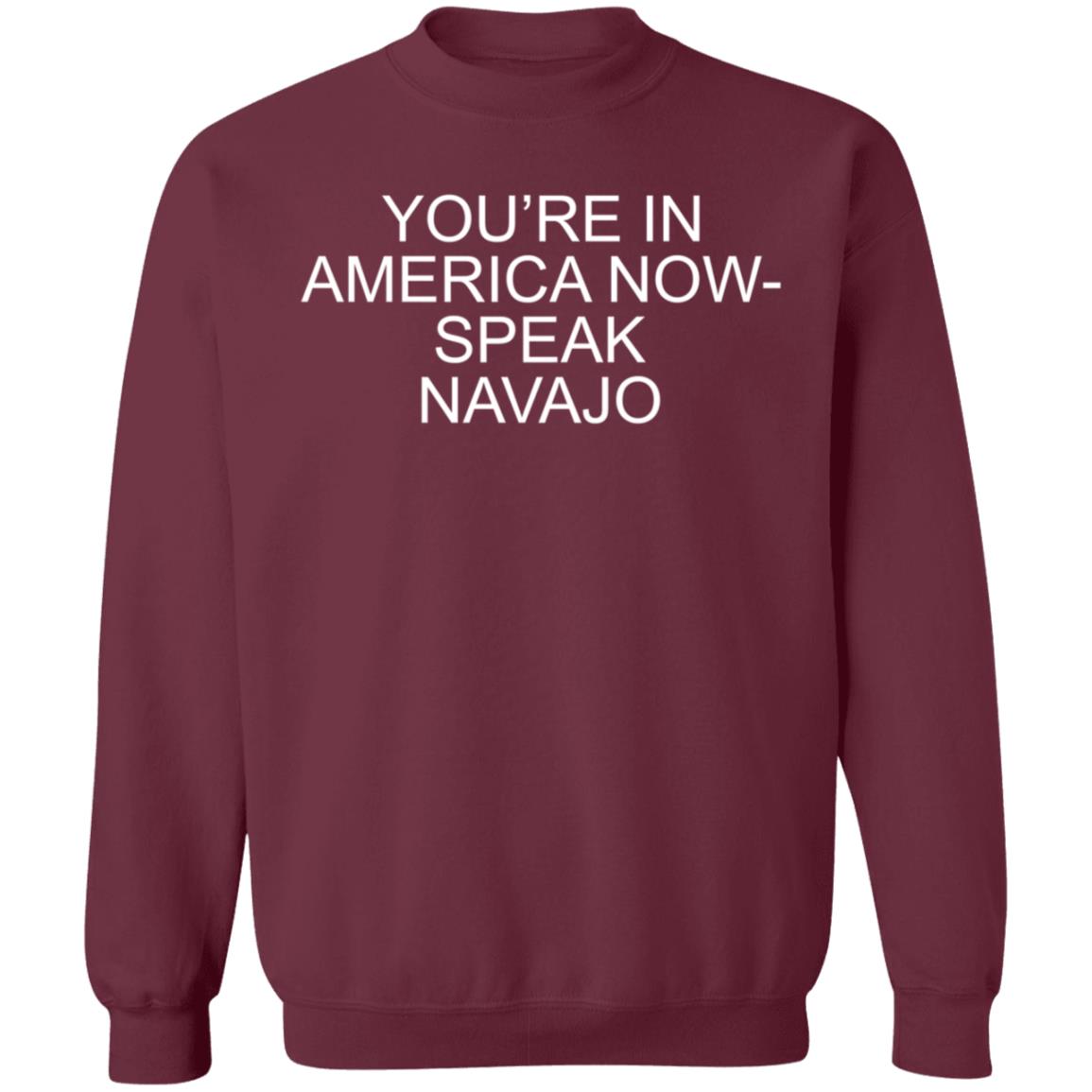 You're In America Now Speak Navajo Shirt Hoodie Sweatshirt - Teechipus