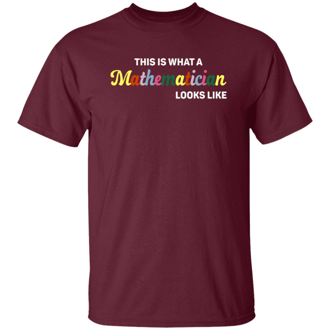 This Is What A Mathematician Looks Like Shirt - Teechipus