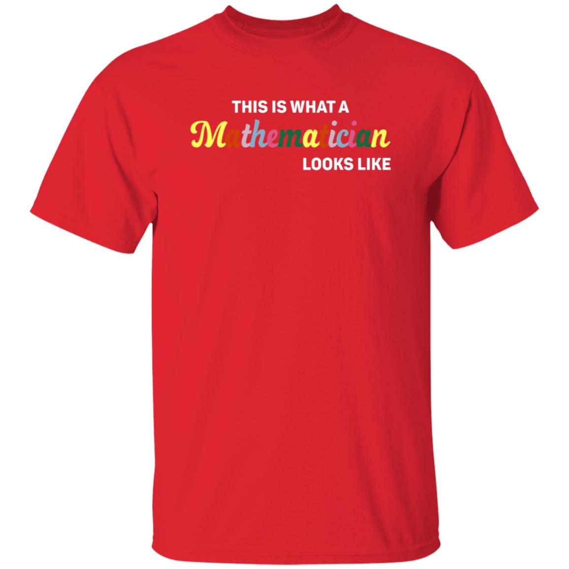 This Is What A Mathematician Looks Like Shirt - Teechipus
