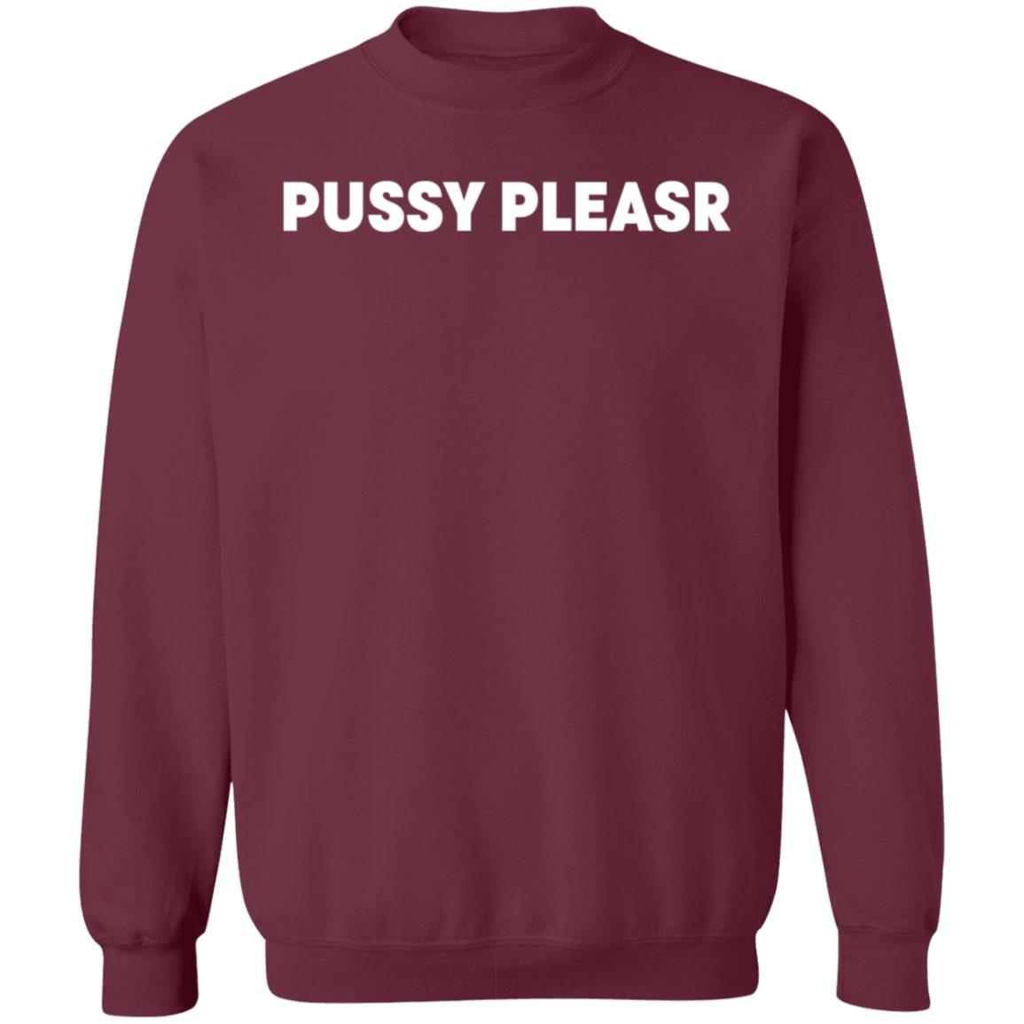 Pussy Pleasr Shirt Pussyverse Pussy Pleasr Shirt Hoodie Sweatshirt - Teechipus