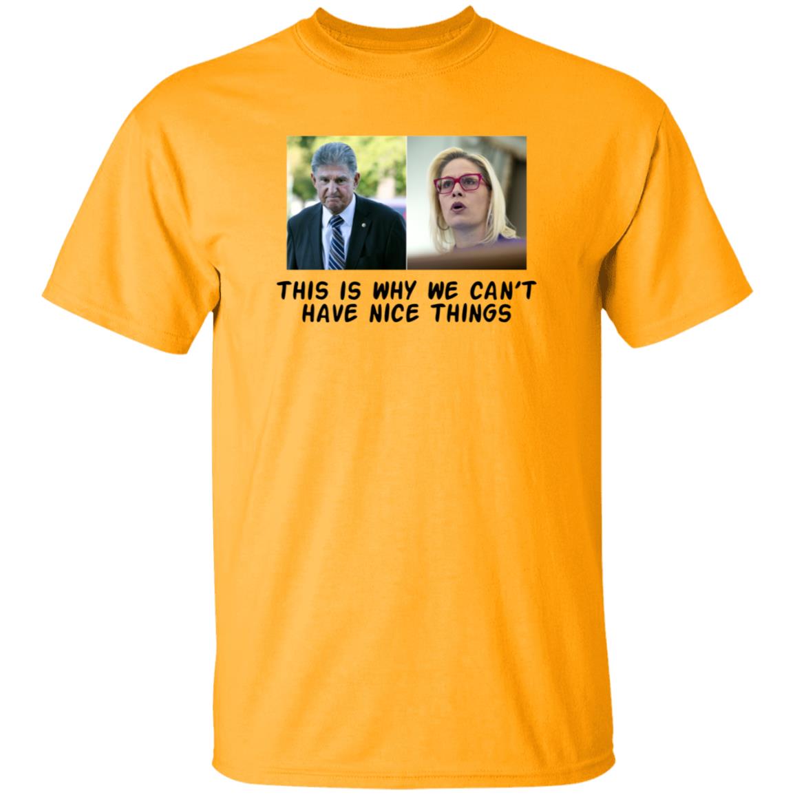 This Is Why We Can't Have Nice Things Shirt Hoodie Sweatshirt - Teechipus