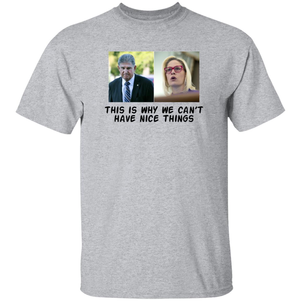 This Is Why We Can't Have Nice Things Shirt Hoodie Sweatshirt - Teechipus