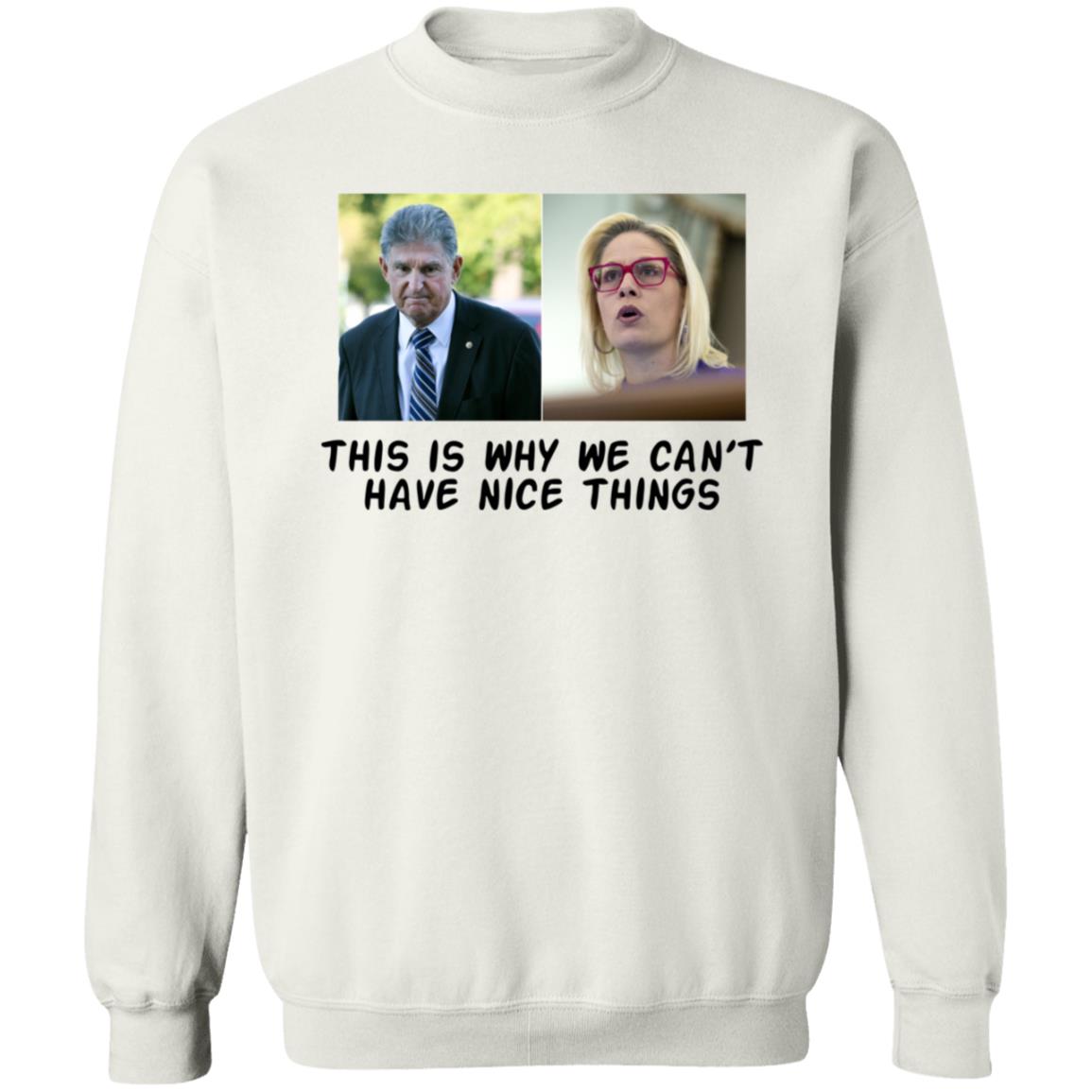 This Is Why We Can't Have Nice Things Shirt Hoodie Sweatshirt - Teechipus