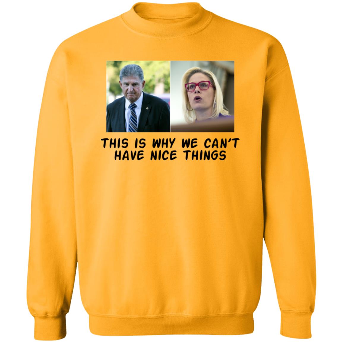 This Is Why We Can't Have Nice Things Shirt Hoodie Sweatshirt - Teechipus