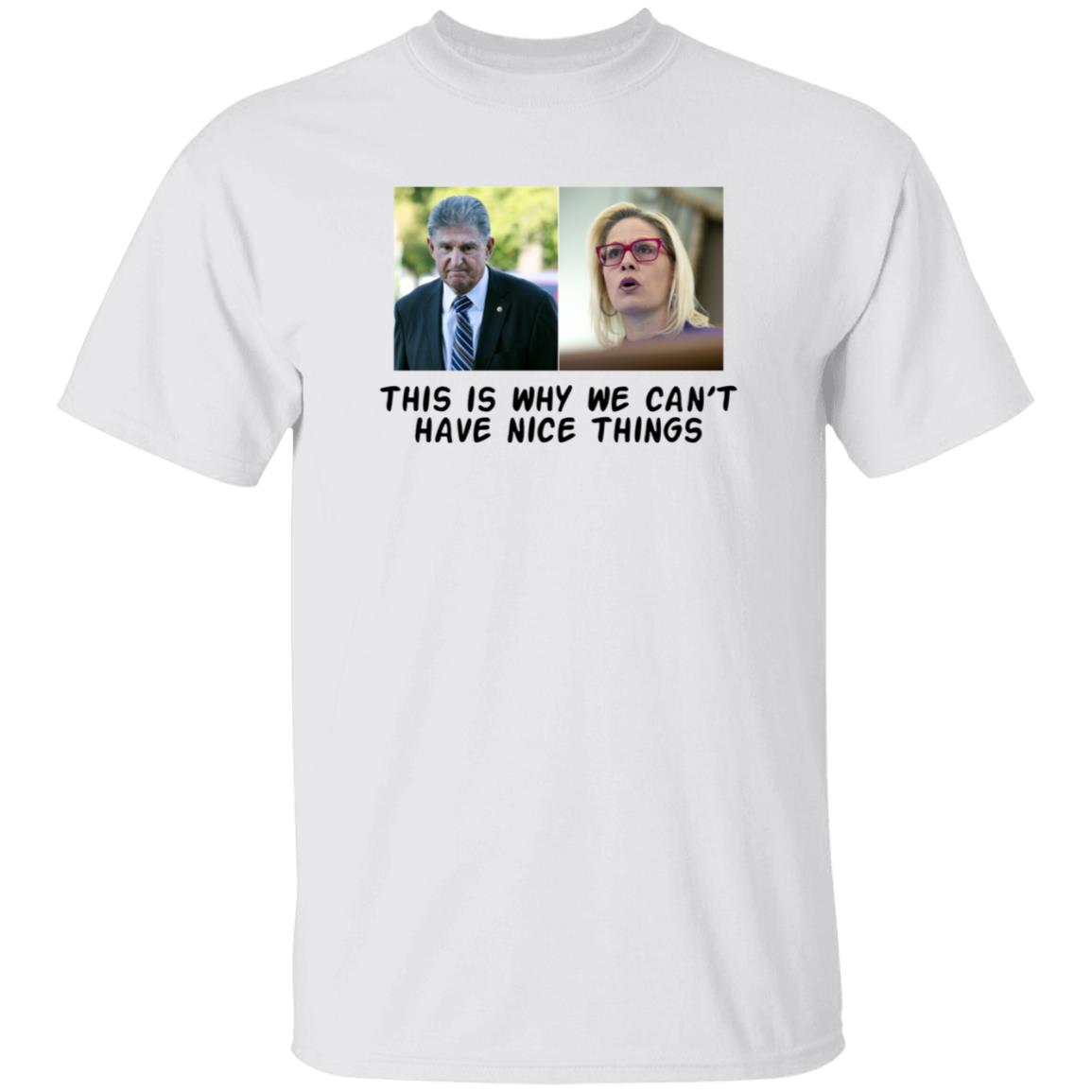 This Is Why We Can't Have Nice Things Shirt Hoodie Sweatshirt - Teechipus