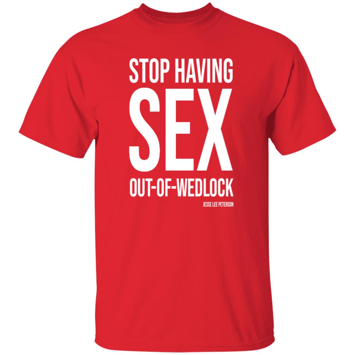 Stop Having Sex Out Of Wedlock Shirt Hoodie Sweatshirt - Teechipus