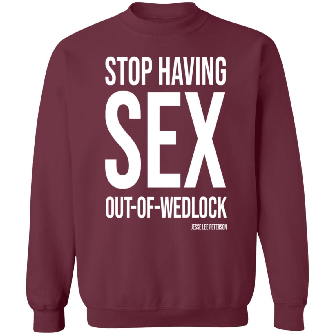 Stop Having Sex Out Of Wedlock Shirt Hoodie Sweatshirt - Teechipus