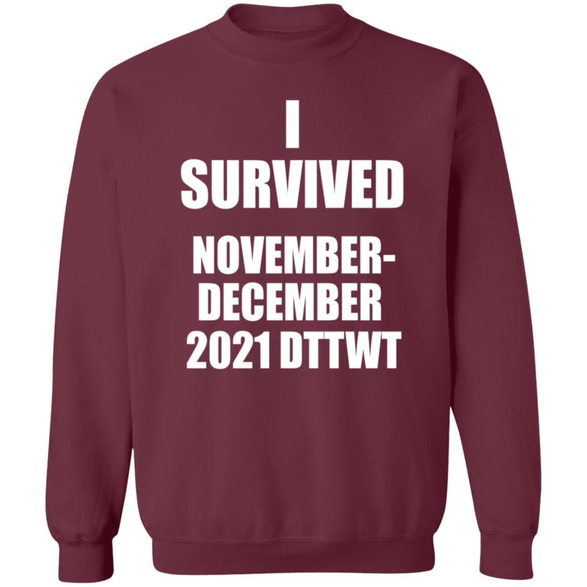 I Survived November December 2021 Dttwt Shirt Hoodie Sweatshirt - Teechipus