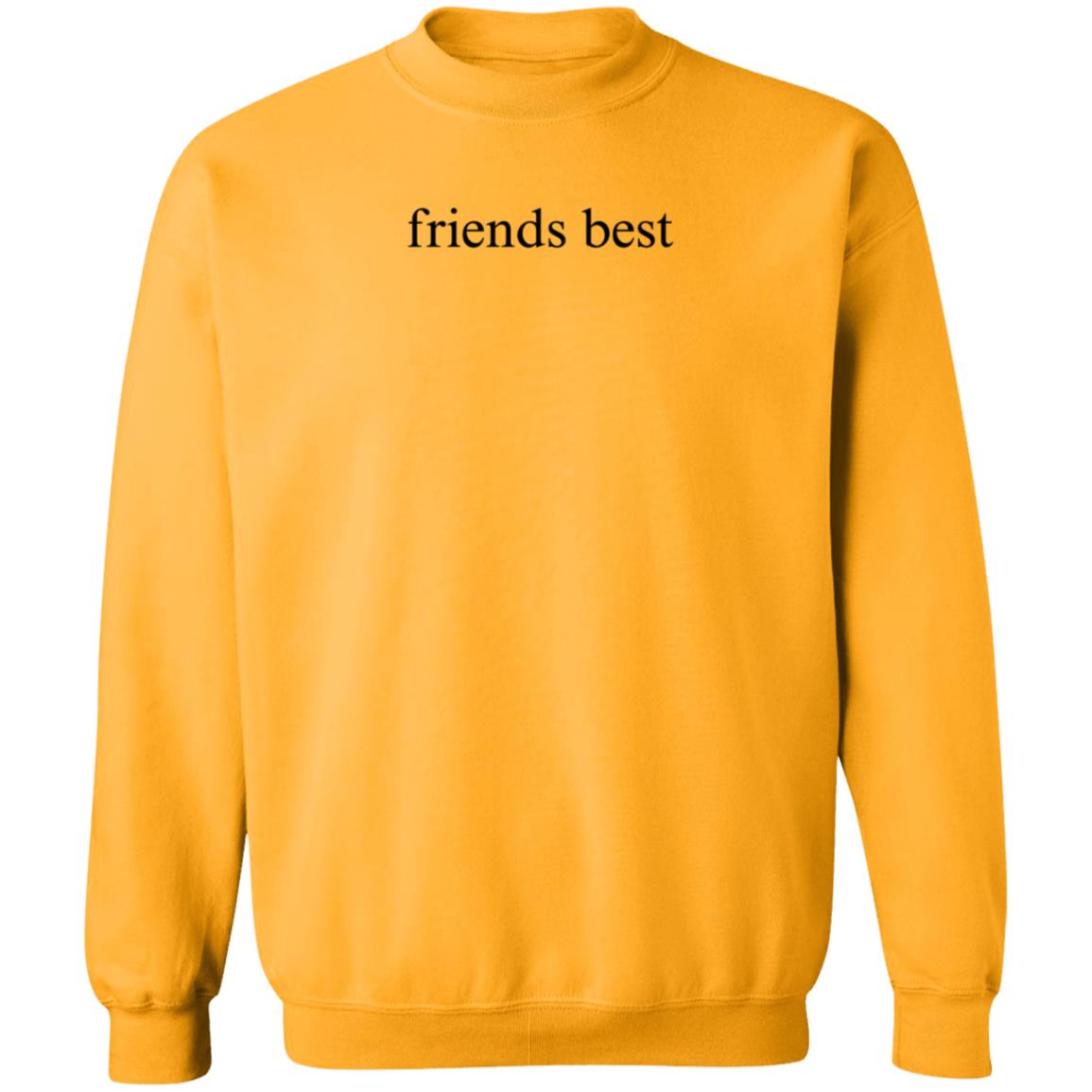 Friends Best Shirt Ireallylikeyr Friends Best Shirt Hoodie Sweatshirt - Teechipus
