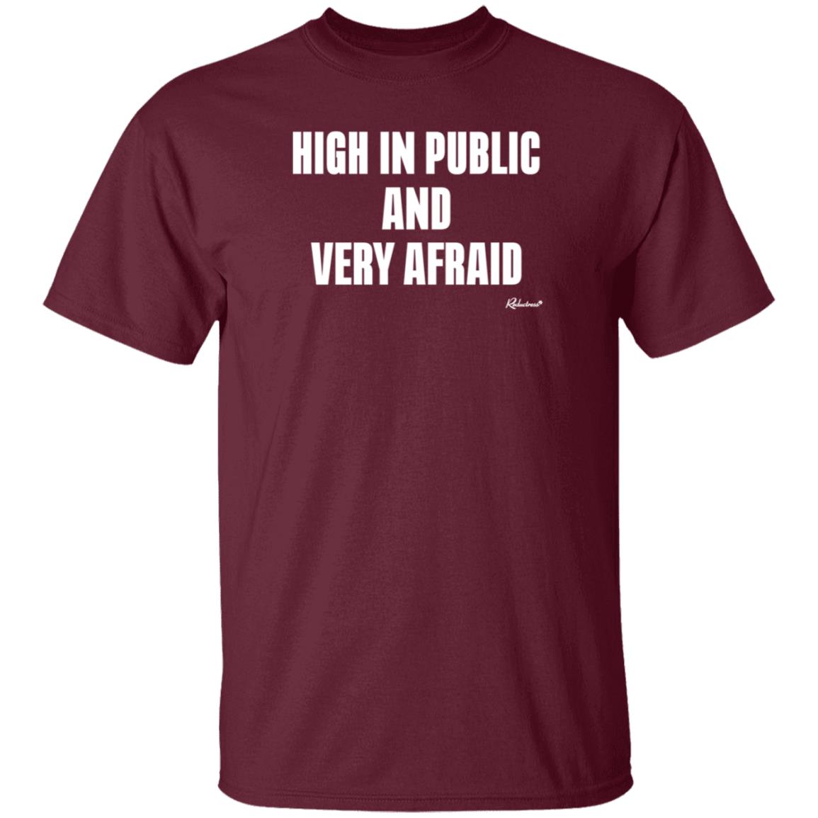 Reductress Store High In Public And Very Afraid Hoodie - Teechipus
