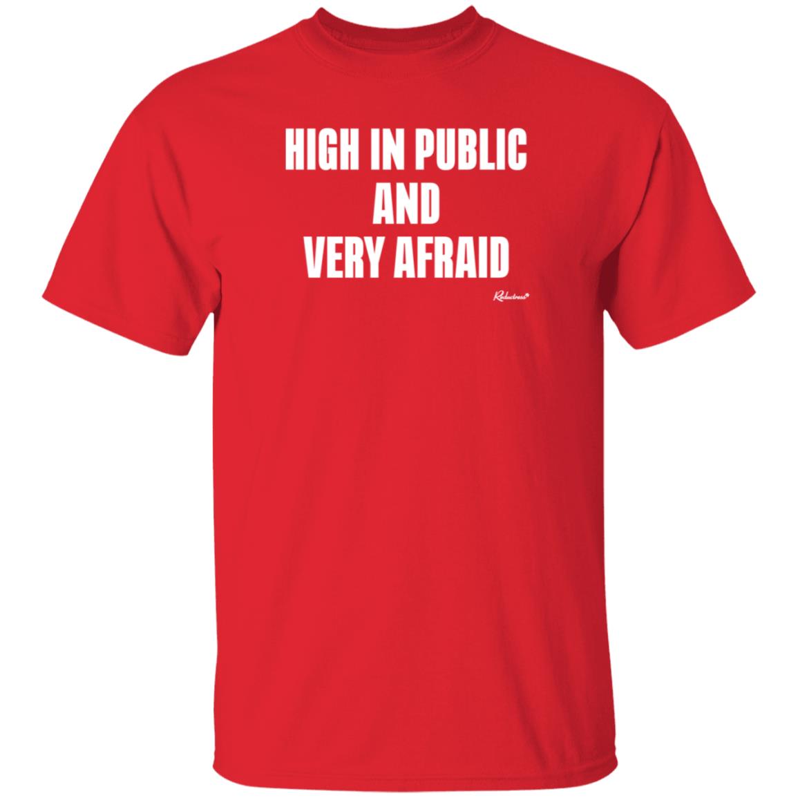 Reductress Store High In Public And Very Afraid Hoodie - Teechipus