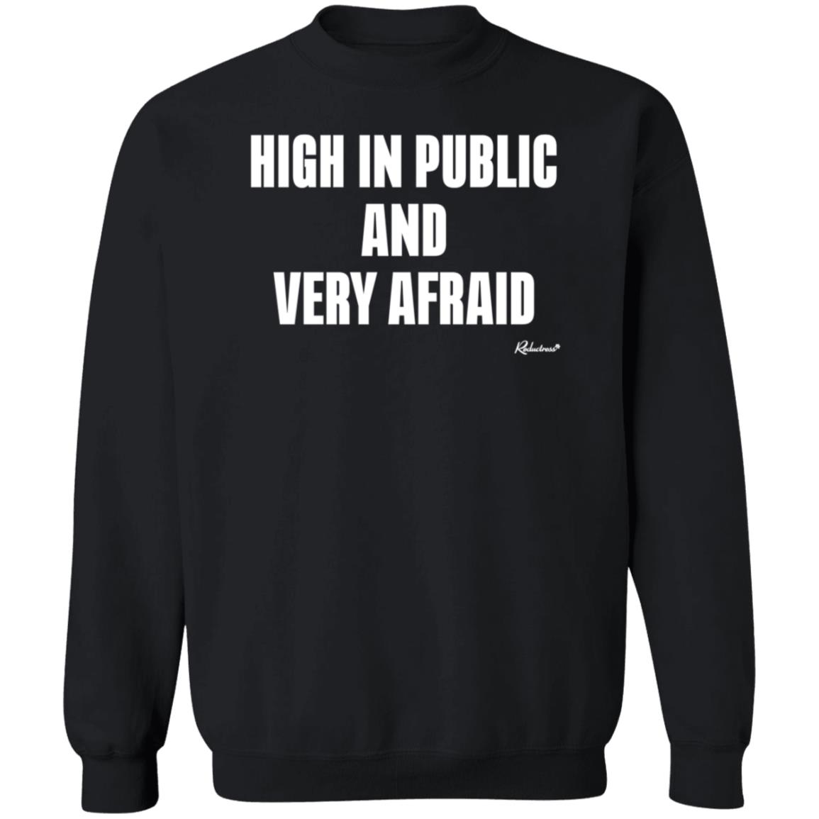 Reductress Store High In Public And Very Afraid Hoodie - Teechipus