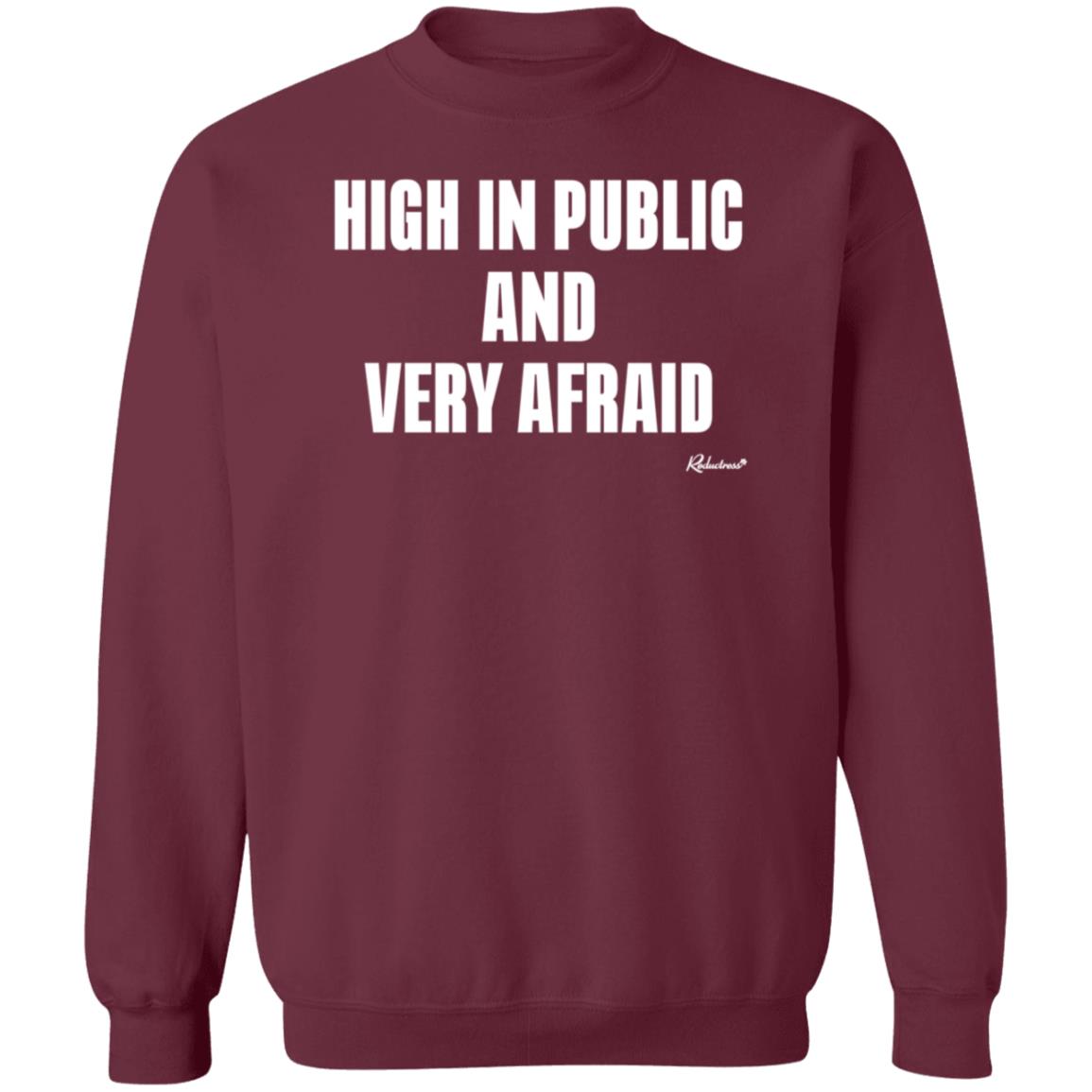 Reductress Store High In Public And Very Afraid Hoodie - Teechipus