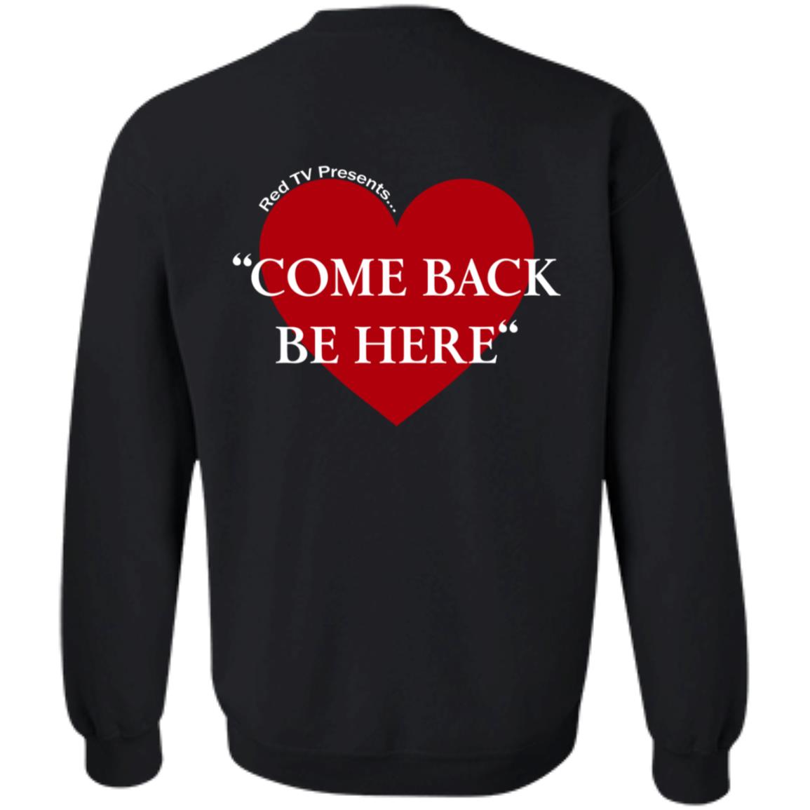 Come Back Be Here Taylor Swift Inspired Hoodie Shirt Sweatshirt - Teechipus