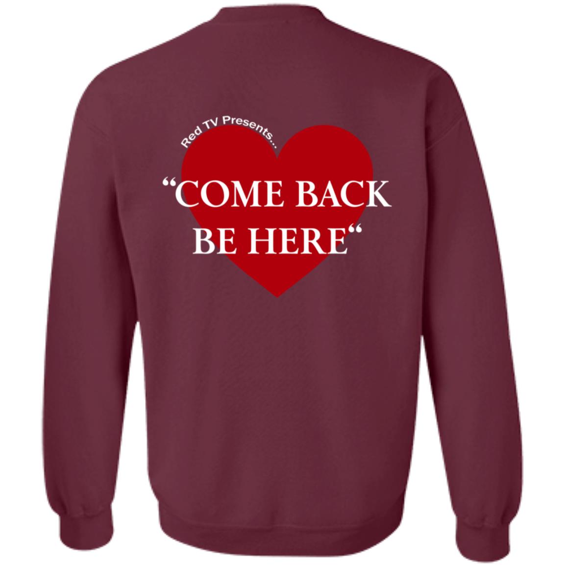 Come Back Be Here Taylor Swift Inspired Hoodie Shirt Sweatshirt - Teechipus