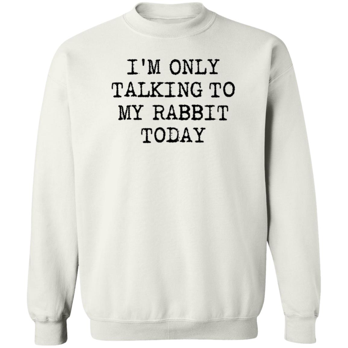 I'm Only Talking To My Rabbit Today Shirt Hoodie Sweatshirt - Teechipus