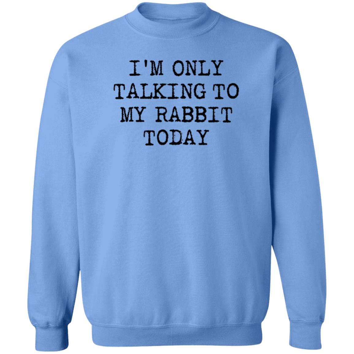 I'm Only Talking To My Rabbit Today Shirt Hoodie Sweatshirt - Teechipus