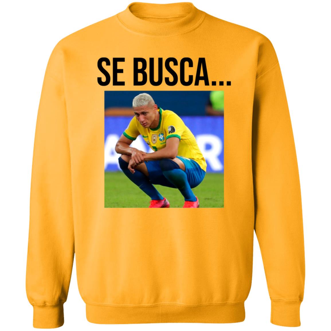 Se Busca Richarlison Shirt Hoodie Sweatshirt Argentine Fans In San Juan Are Making Fun Of Richarlison - Teechipus