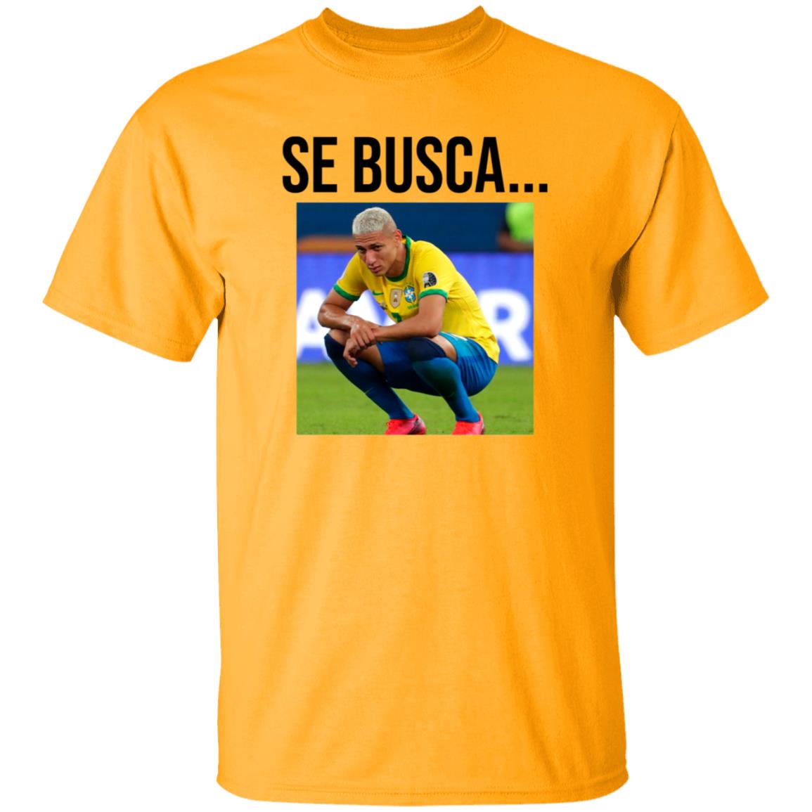 Se Busca Richarlison Shirt Hoodie Sweatshirt Argentine Fans In San Juan Are Making Fun Of Richarlison - Teechipus