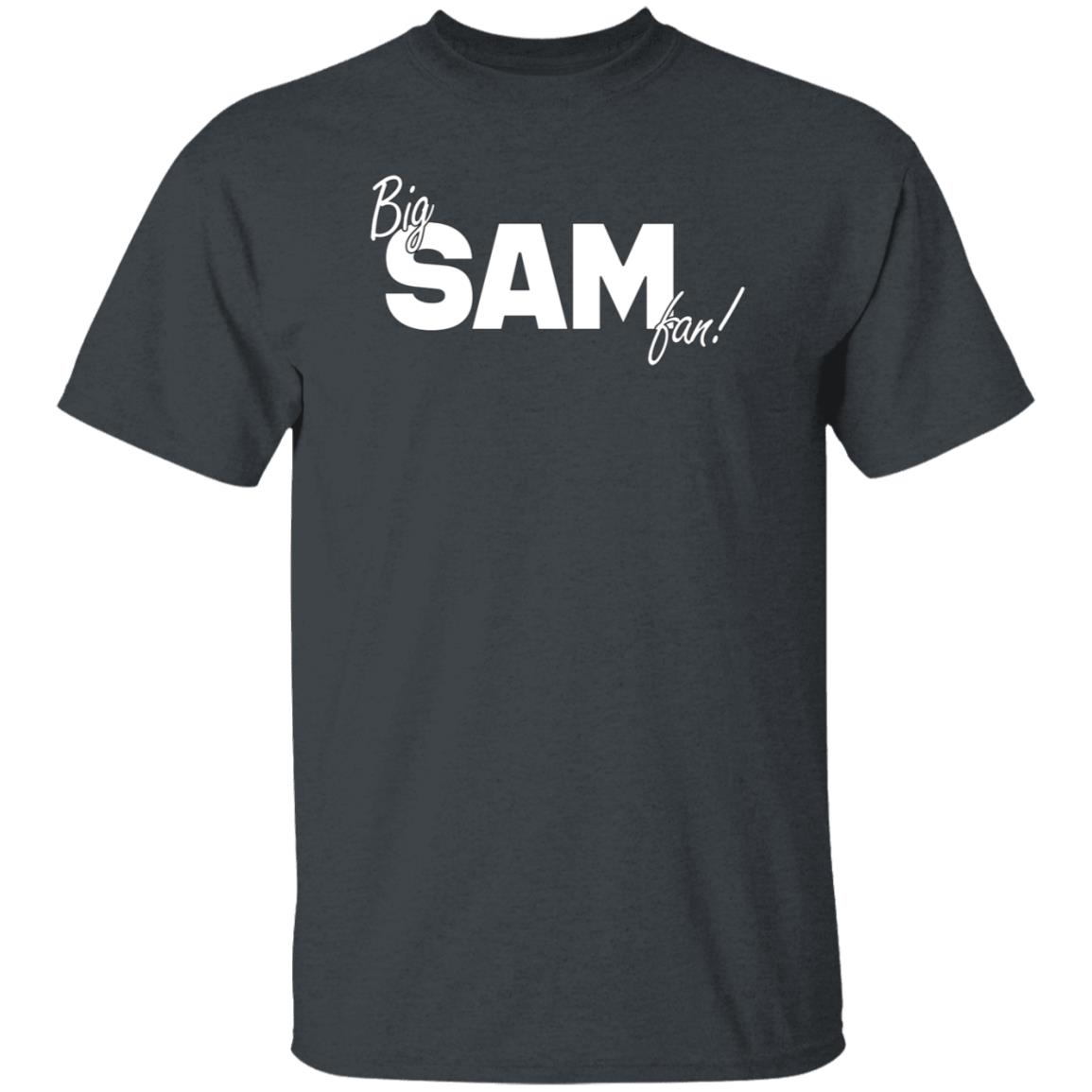 Big Sam Fan Shirt Hoodie Sweatshirt - Teechipus