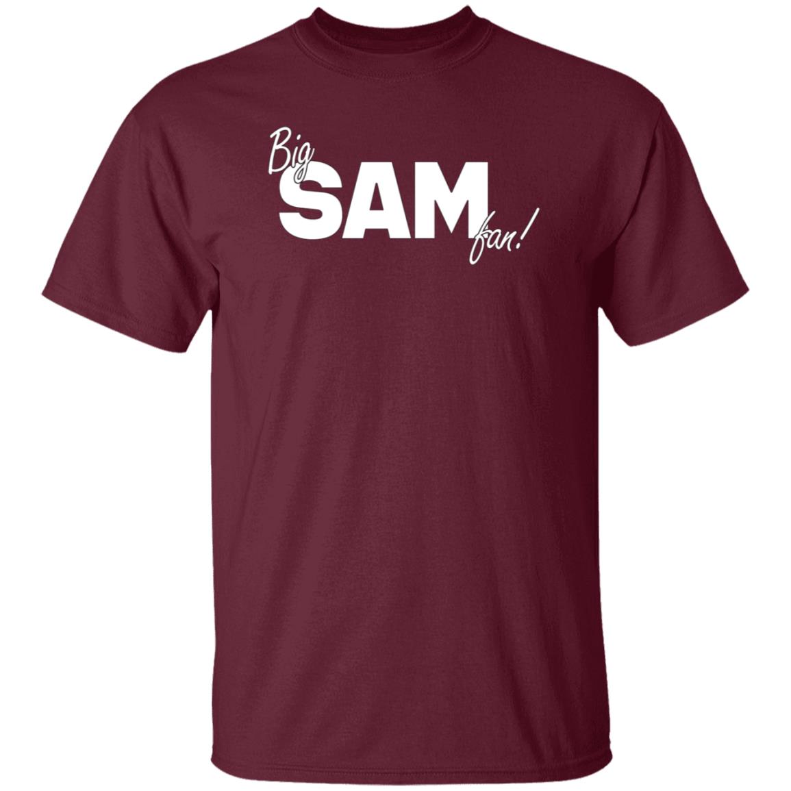 Big Sam Fan Shirt Hoodie Sweatshirt - Teechipus