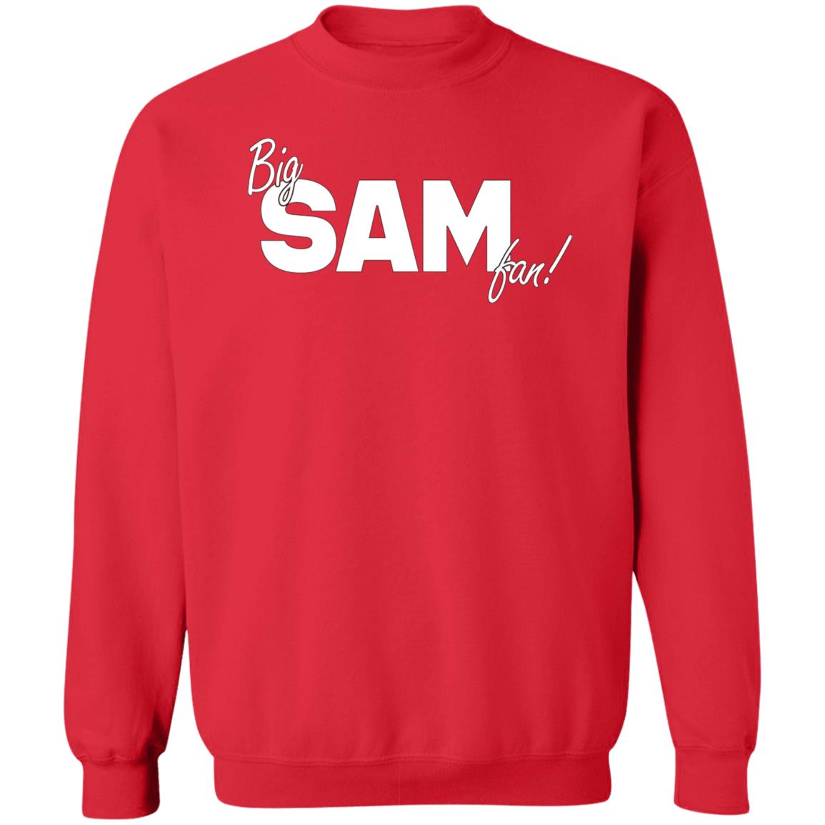 Big Sam Fan Shirt Hoodie Sweatshirt - Teechipus