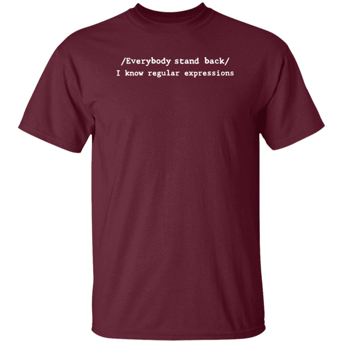 Everybody Stand Back I Know Regular Expressions Shirt - Teechipus