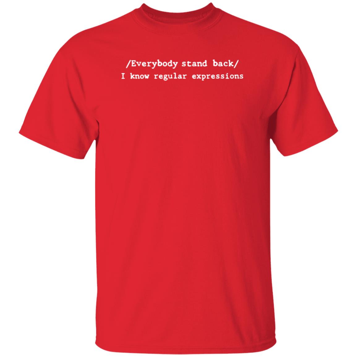 Everybody Stand Back I Know Regular Expressions Shirt - Teechipus