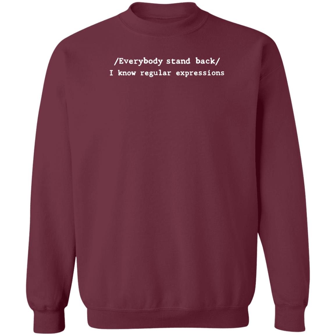 Everybody Stand Back I Know Regular Expressions Shirt - Teechipus