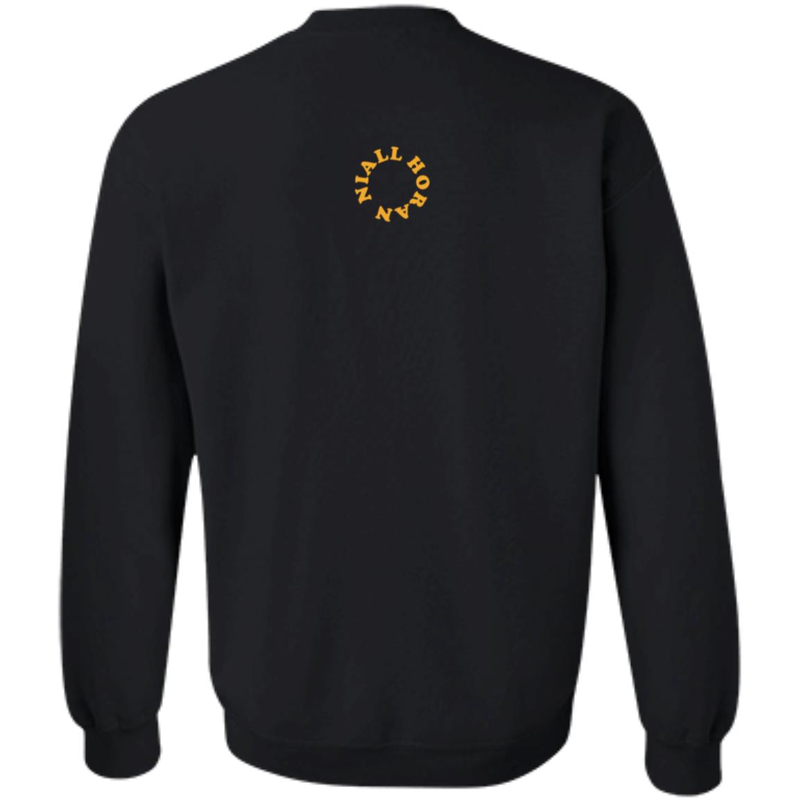 Niall Horan Merch Hello Lovers Shirt - Teechipus