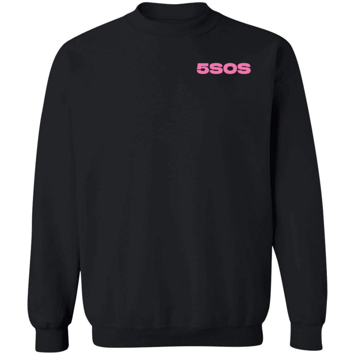 5Sos Store 10 Year Celebration Shirt Hoodie Sweatshirt - Teechipus