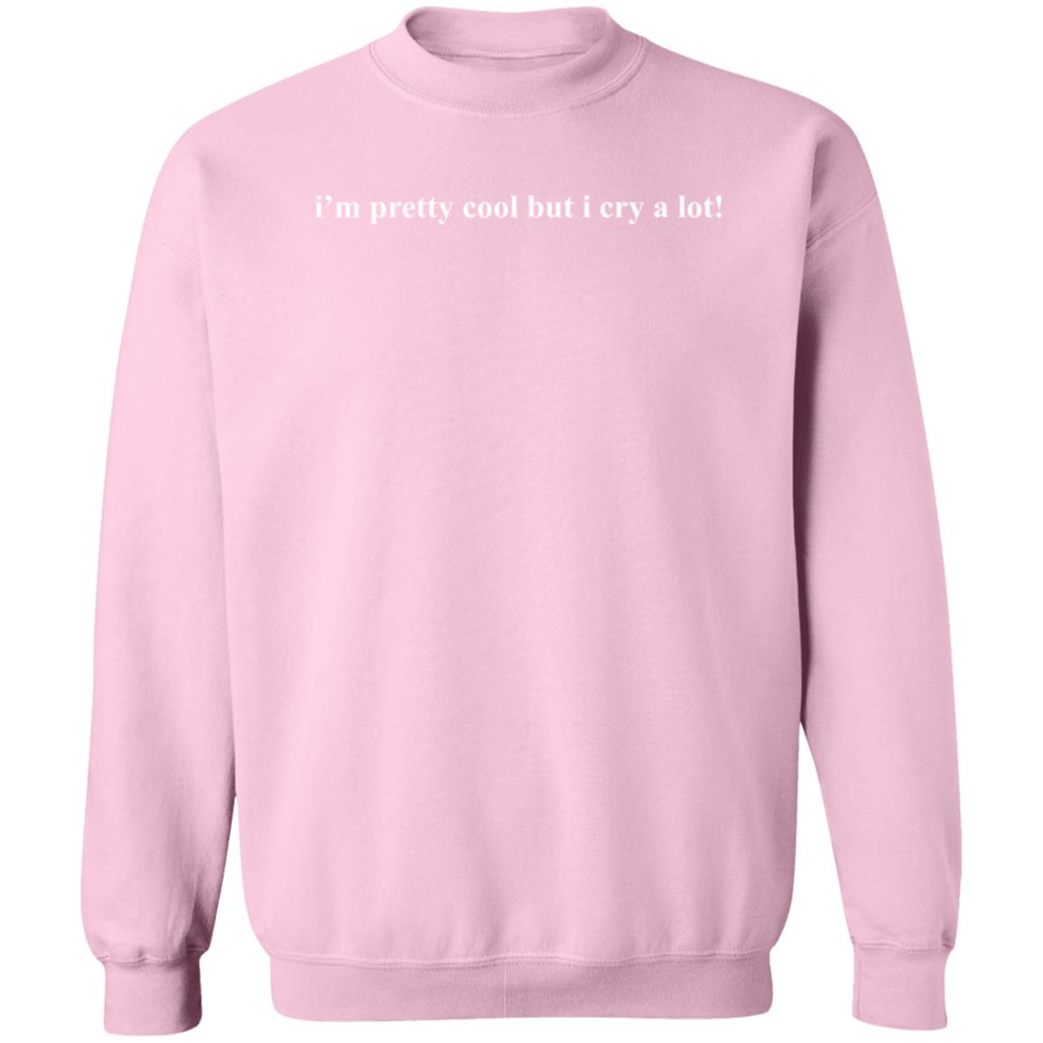 I'm Pretty Cool But I Cry A Lot Wipe Tears Here Hoodie See The Way I See Merch I'm Pretty Cool But I Cry A Lot Wipe Tears Here Hoodie See The Way I See Merch